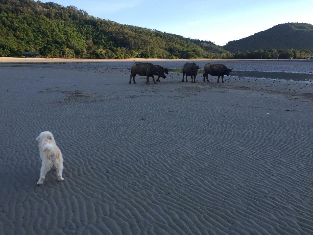 Dragon Pearl Beach Resort Kota Belud Esterno foto